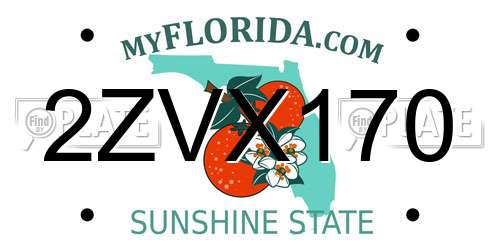 2ZVX170 Florida License Plate