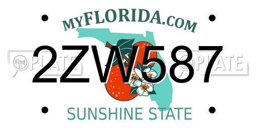 2ZW587 Florida License Plate