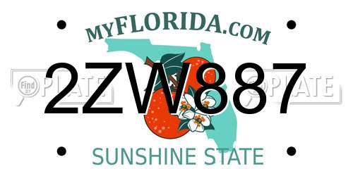2ZW887 Florida License Plate