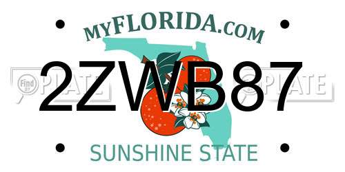 2ZWB87 Florida License Plate