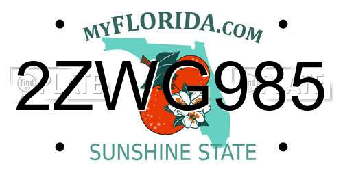 2ZWG985 Florida License Plate