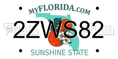 2ZWS82 Florida License Plate