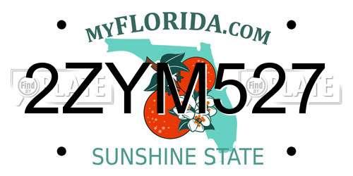 2ZYM527 Florida License Plate
