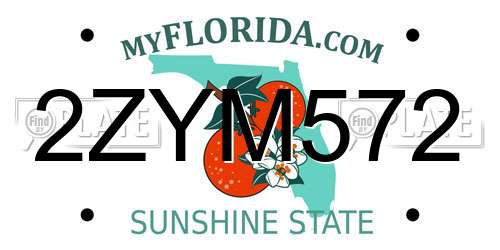 2ZYM572 Florida License Plate