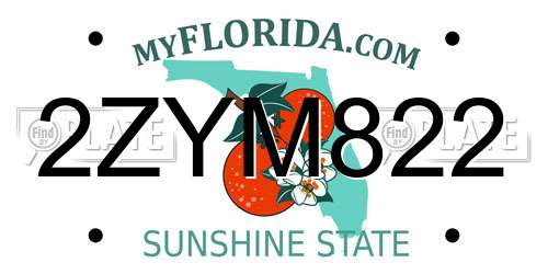 2ZYM822 Florida License Plate
