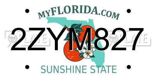 2ZYM827 Florida License Plate
