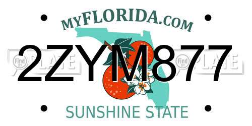 2ZYM877 Florida License Plate