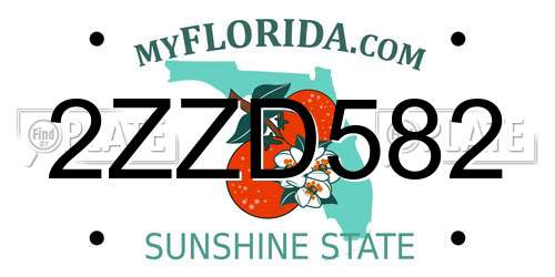 2ZZD582 Florida License Plate
