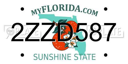 2ZZD587 Florida License Plate