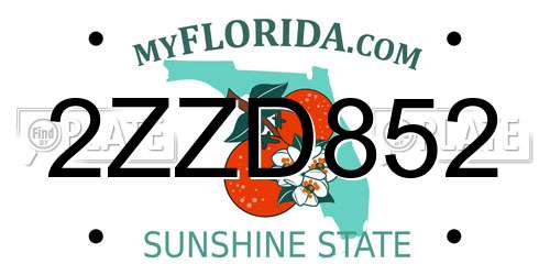 2ZZD852 Florida License Plate