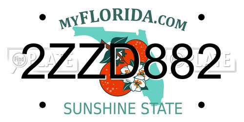 2ZZD882 Florida License Plate