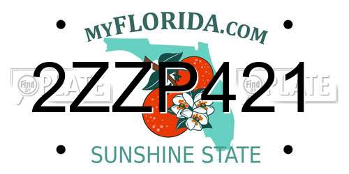 2ZZP421 Florida License Plate