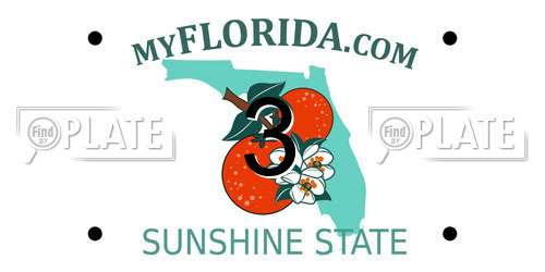 3 Florida License Plate