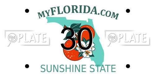 30 Florida License Plate