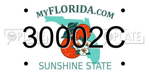 30002C Florida License Plate