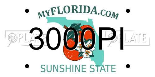 3000PI Florida License Plate