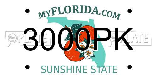 3000PK Florida License Plate