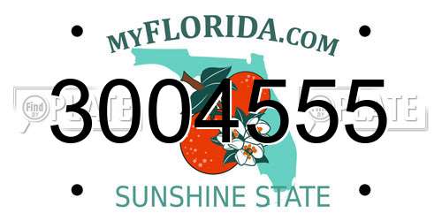 3004555 Florida License Plate
