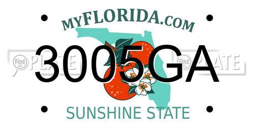 3005GA Florida License Plate