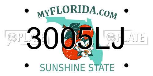 3005LJ Florida License Plate