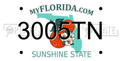 3005TN Florida License Plate