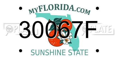 30067F Florida License Plate
