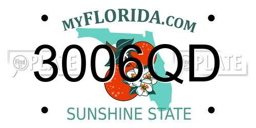 3006QD Florida License Plate