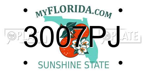 3007PJ Florida License Plate
