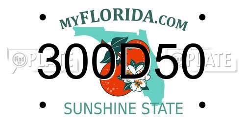 300D50 Florida License Plate