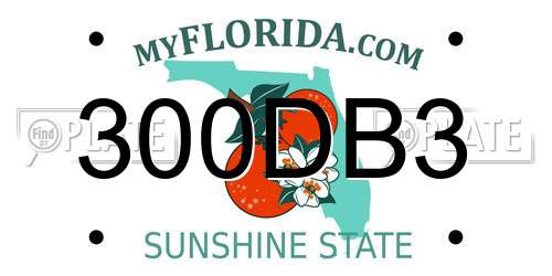 300DB3 Florida License Plate
