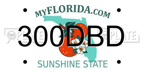 300DBD Florida License Plate