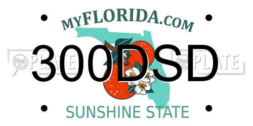 300DSD Florida License Plate