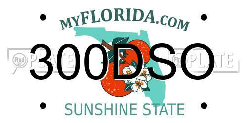 300DSO Florida License Plate