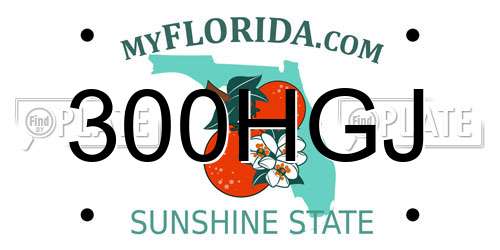 300HGJ Florida License Plate