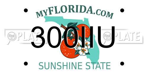 300IIU Florida License Plate