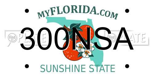 300NSA Florida License Plate
