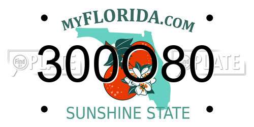 300O80 Florida License Plate