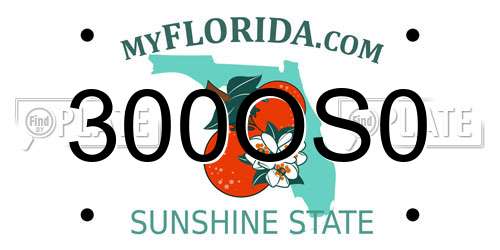 300OS0 Florida License Plate