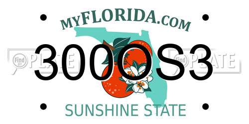 300OS3 Florida License Plate