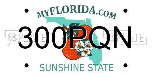 300PQN Florida License Plate