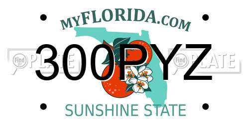 300PYZ Florida License Plate