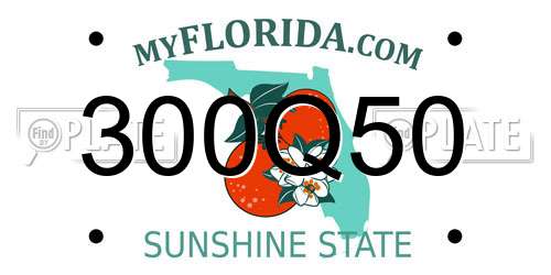 300Q50 Florida License Plate