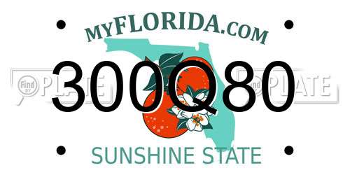 300Q80 Florida License Plate
