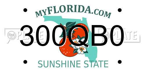 300QB0 Florida License Plate