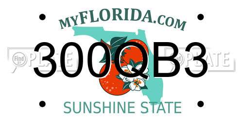 300QB3 Florida License Plate