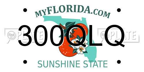 300QLQ Florida License Plate