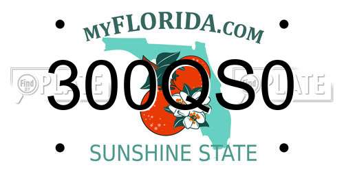 300QS0 Florida License Plate