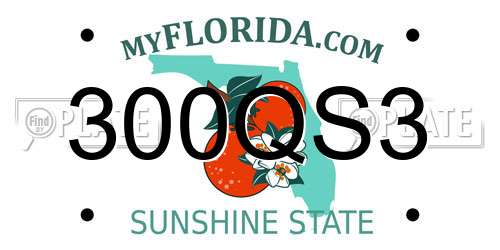 300QS3 Florida License Plate
