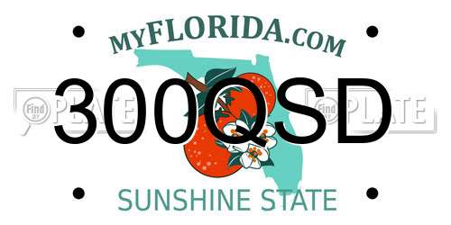 300QSD Florida License Plate