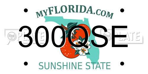 300QSE Florida License Plate
